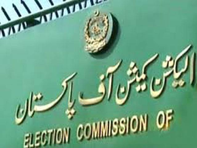 ECP submits report on alleged NA-125 rigging 