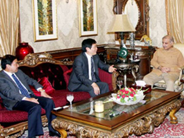 Shahbaz vows timely completion of all energy projects