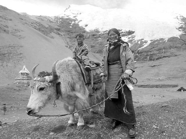 Tibetans’ high-altitude skills came via extinct cousin
