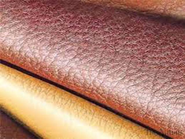 Leather exports stagnant for last 6 years