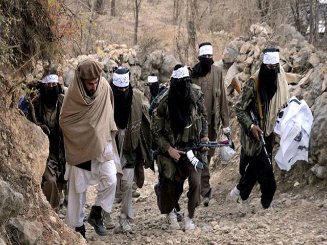 TTP Mohmand demonstrates sophistication in social media use