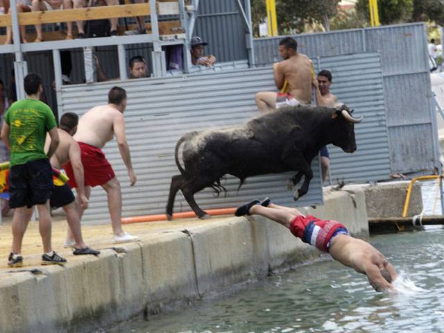 Spain bull run