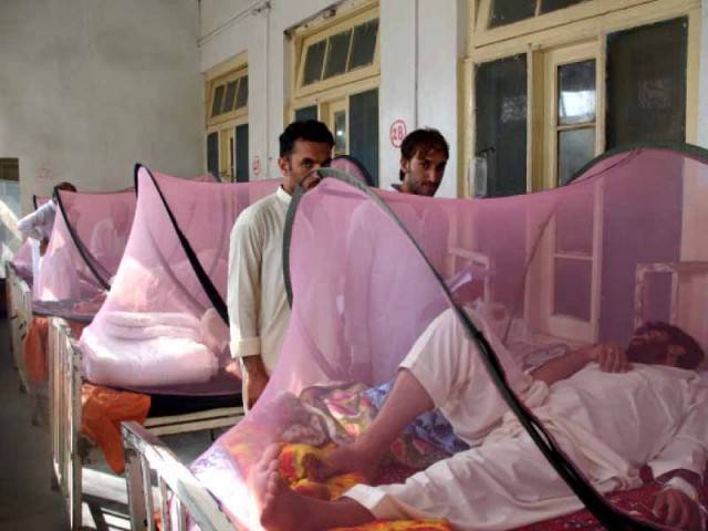 Dengue whine in ­Swat