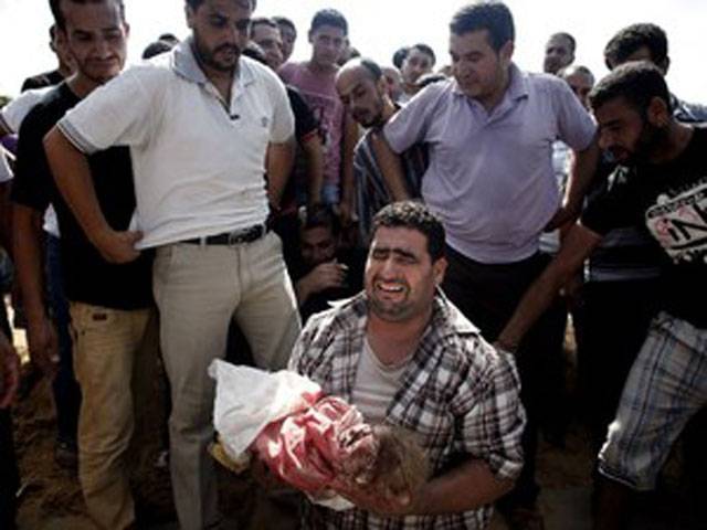 Gaza death toll hits 342
