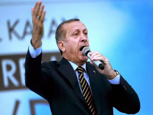 Erdogan\'s presidency: A risky gamble?