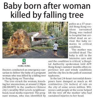 Baby born after woman killed by falling tree