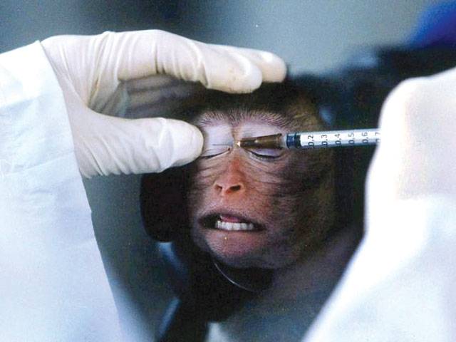 Experimental drugs to be used on ‘artificial humans’