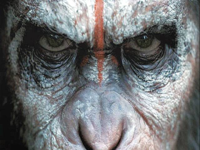 ‘Dawn of the Planet of the Apes’ roars in China