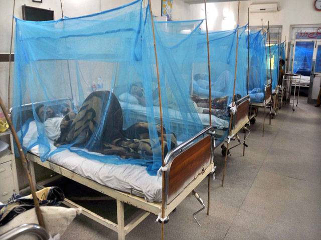 Dengue cases toll reaches 225