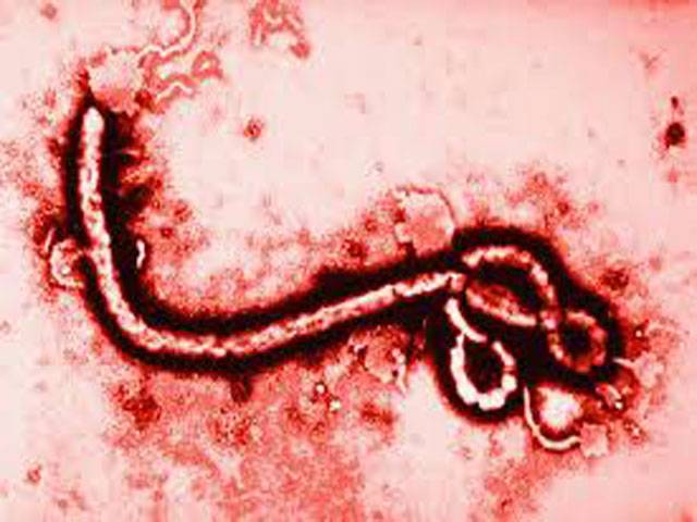 Measures against mysterious Ebola need of the hour