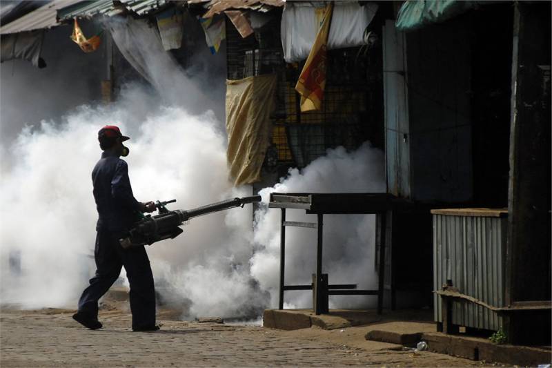 Defeating dengue fever