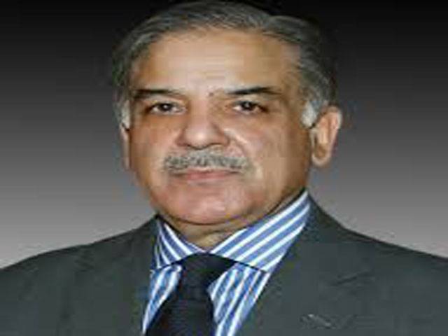 Shahbaz asks overseas Pakistanis to make investment
