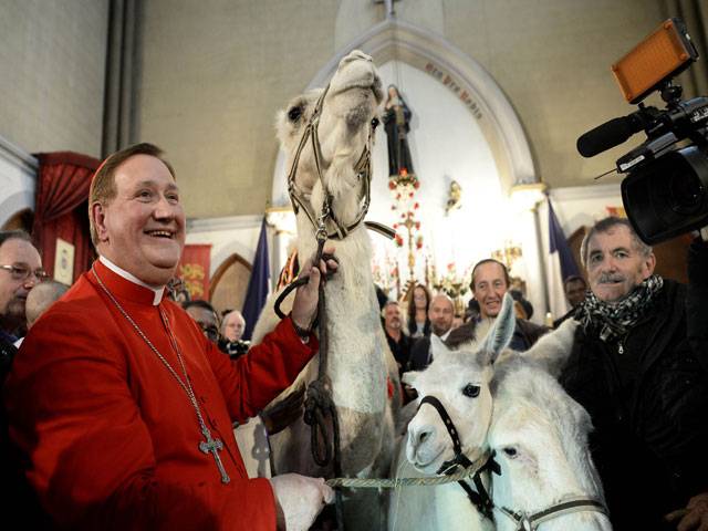 Archbishop holds a camel a donkey in Paris 