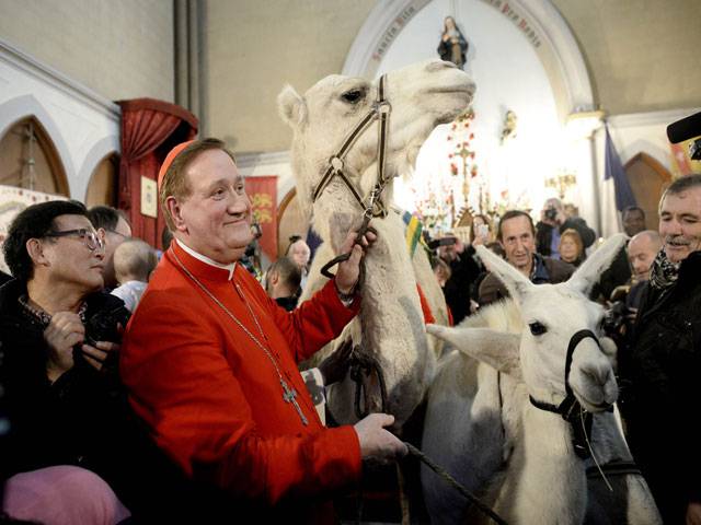 Archbishop holds a camel a donkey in Paris 