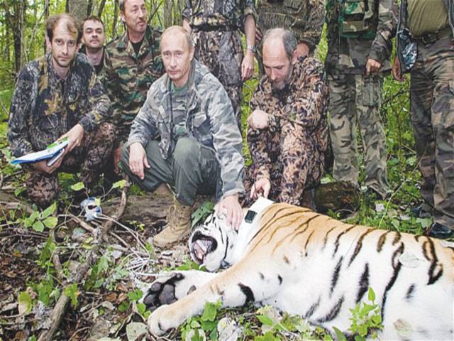 Putin’s tiger main suspect in China 