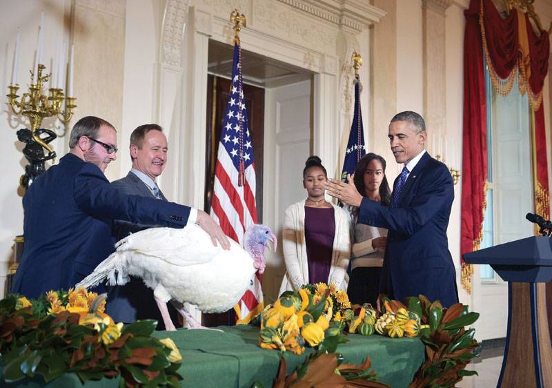 The strange tale of pardoned White House turkeys