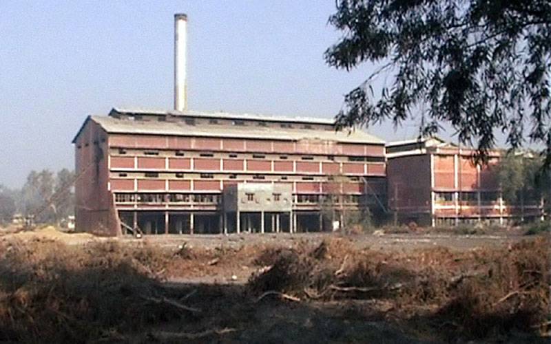 Punjab sugar mills threaten to stop crushing expensive cane 