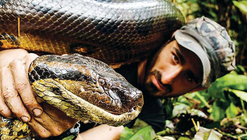 US naturalist battles with snake for TV, but not eaten alive as promised
