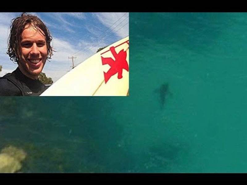 Teen killed by shark in Australia