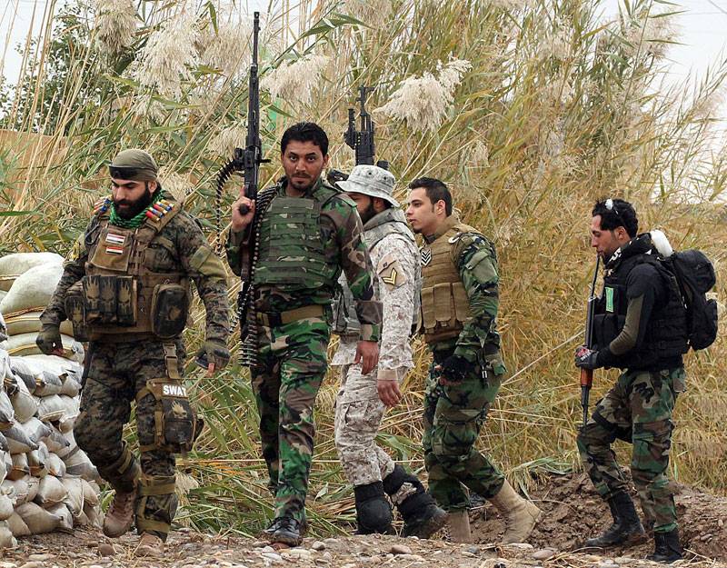  Pro-Iraqi government fighter