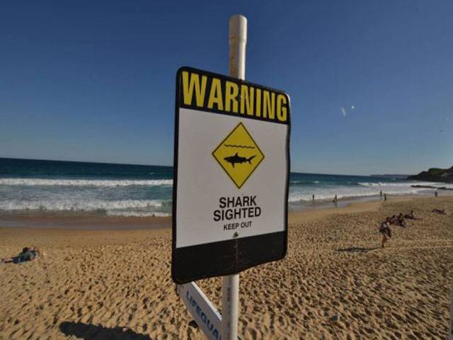 Australian beaches reopen as sharks scram