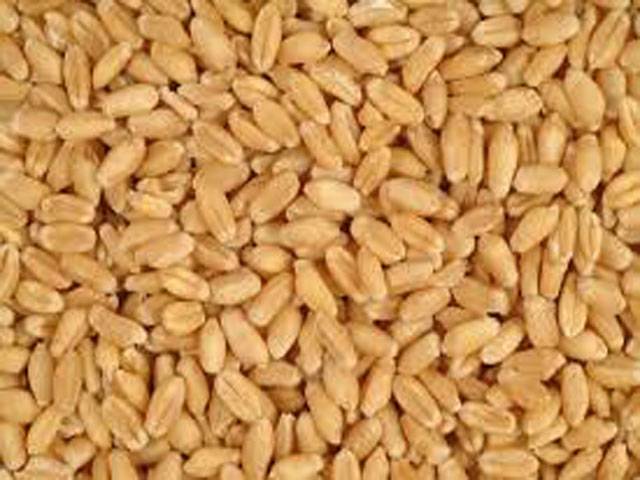 ECC okays export of wheat, bans by-products import