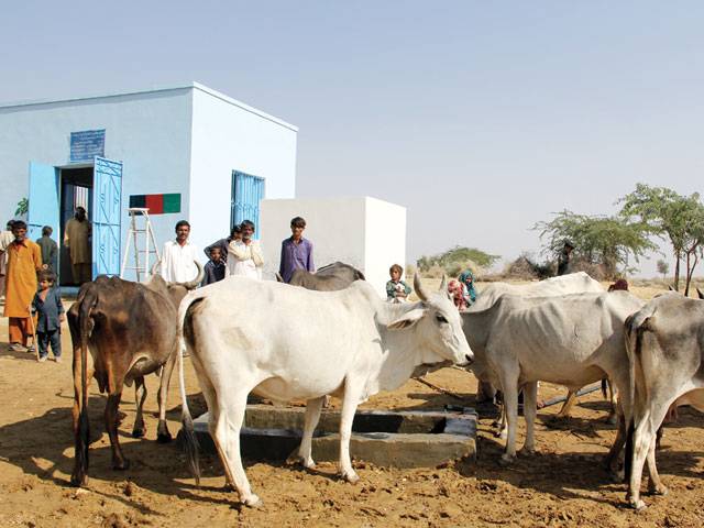 RO plants: A ray of hope for water-starved Thar 