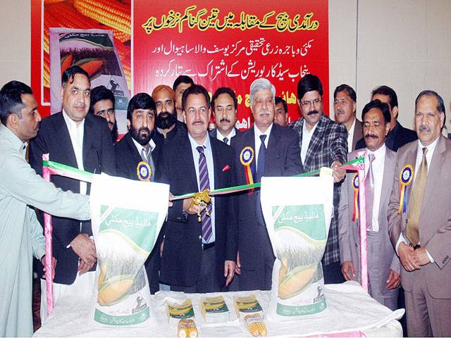 Punjab Seed Corporation launches hybrid maize seed