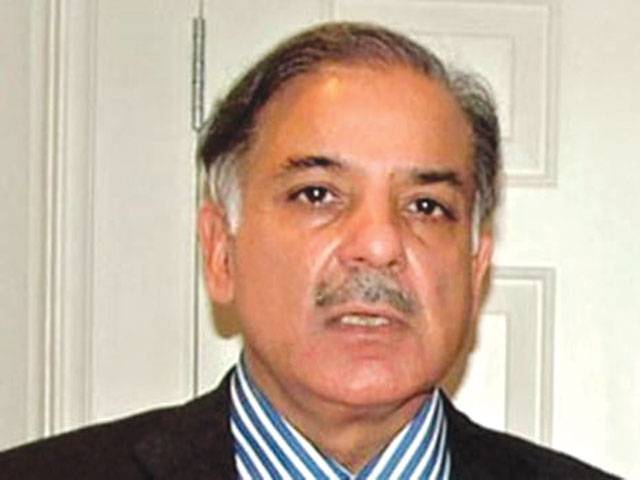 Punjab to tap resources, says Shahbaz 