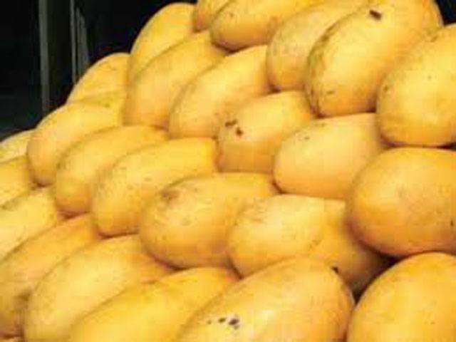 Pakistan may earn $80m from mango export
