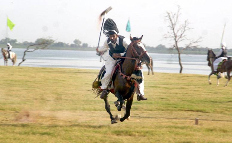 Tent pegging competition