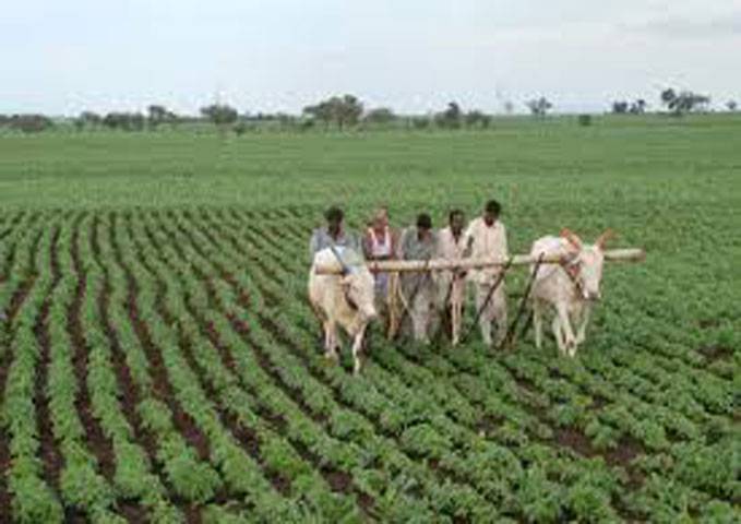 Positive steps ensure 2.9pc growth in agri sector this year