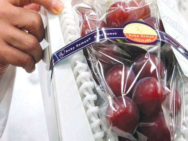 Don’t whine about the price: Japan grapes sell for $8,000