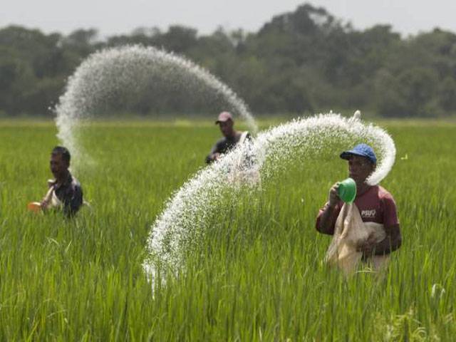 Banks disbursed Rs516b to farmers in FY15