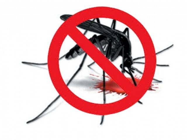 Anti-Dengue Day today