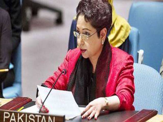 Pakistan calls for UN, OIC role on Kashmir 