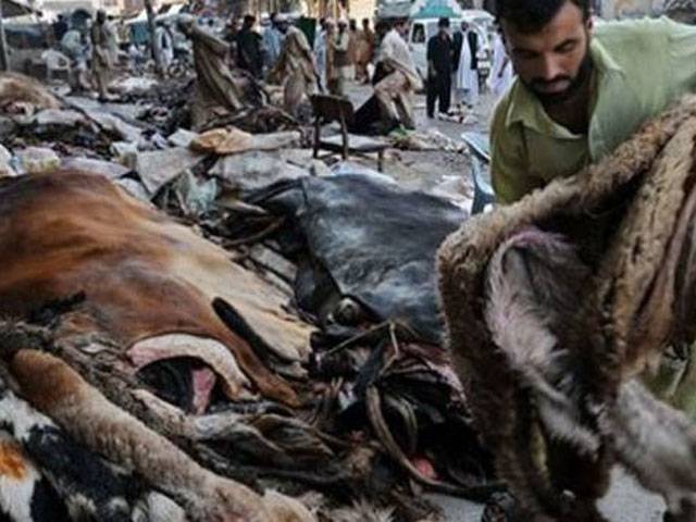 24 groups allowed to collect animal hides