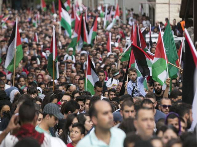 Pro-Palestinian rally1