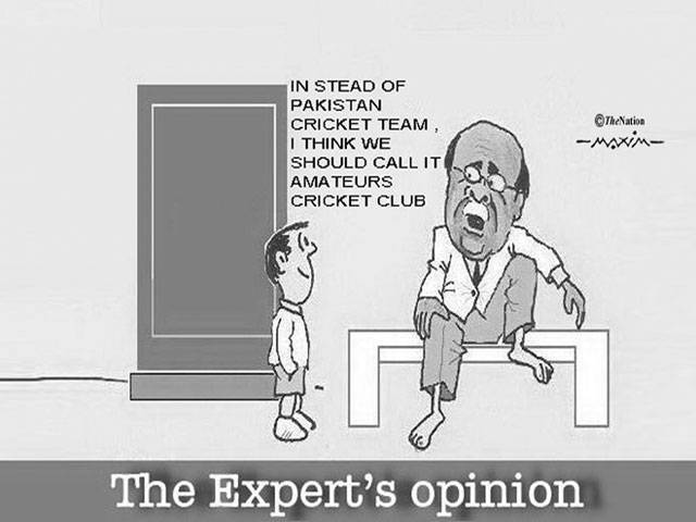 The Expert's opinion