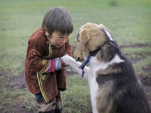 Pet dogs originated in Nepal, Mongolia