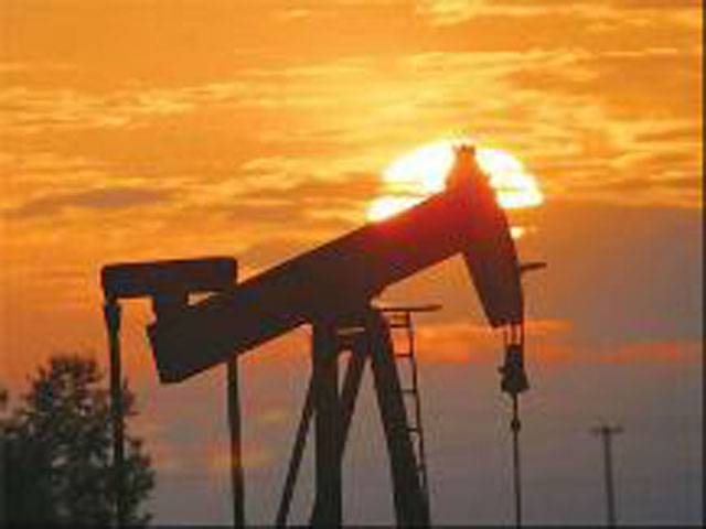 Oil rebounds on bargain-hunting