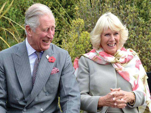 Kiwi royal fan plants a cheeky kiss on Prince Charles