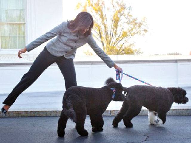 Man who plotted Obama dognapping faces charge