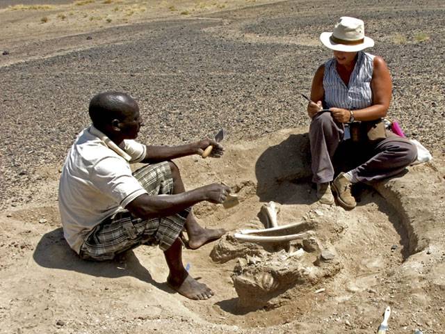 Prehistoric massacre in Kenya called oldest evidence of warfare