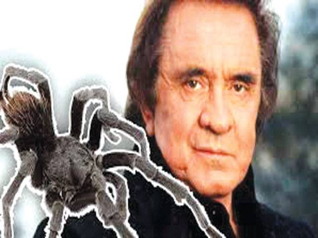 New tarantula is named after music legend Johnny Cash