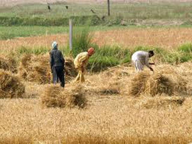 Only progress in agri sector can reduce poverty