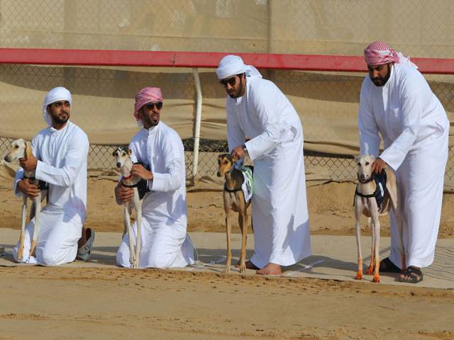 UAE dog race1