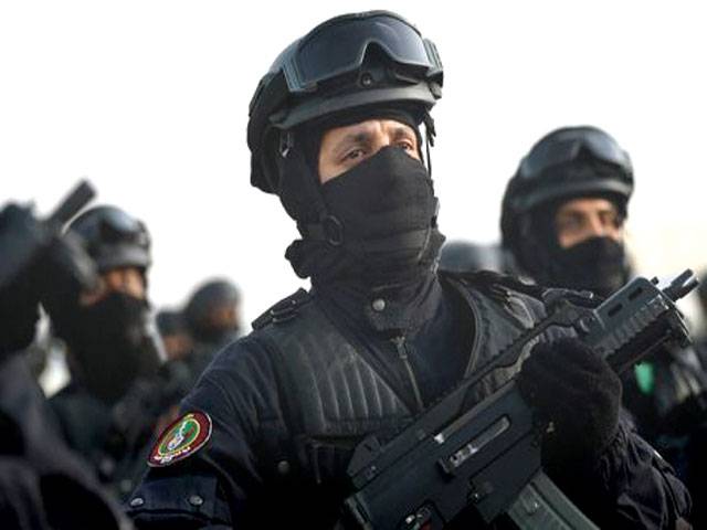 Saudi forces kill terrorist suspect in village raid