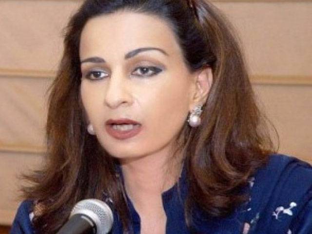 Sherry lashes out at govt for launching new airline