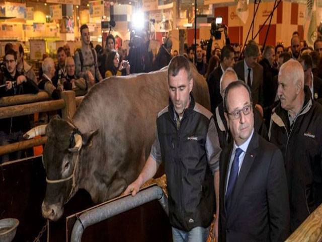 Hollande jeered at start of Paris farm show